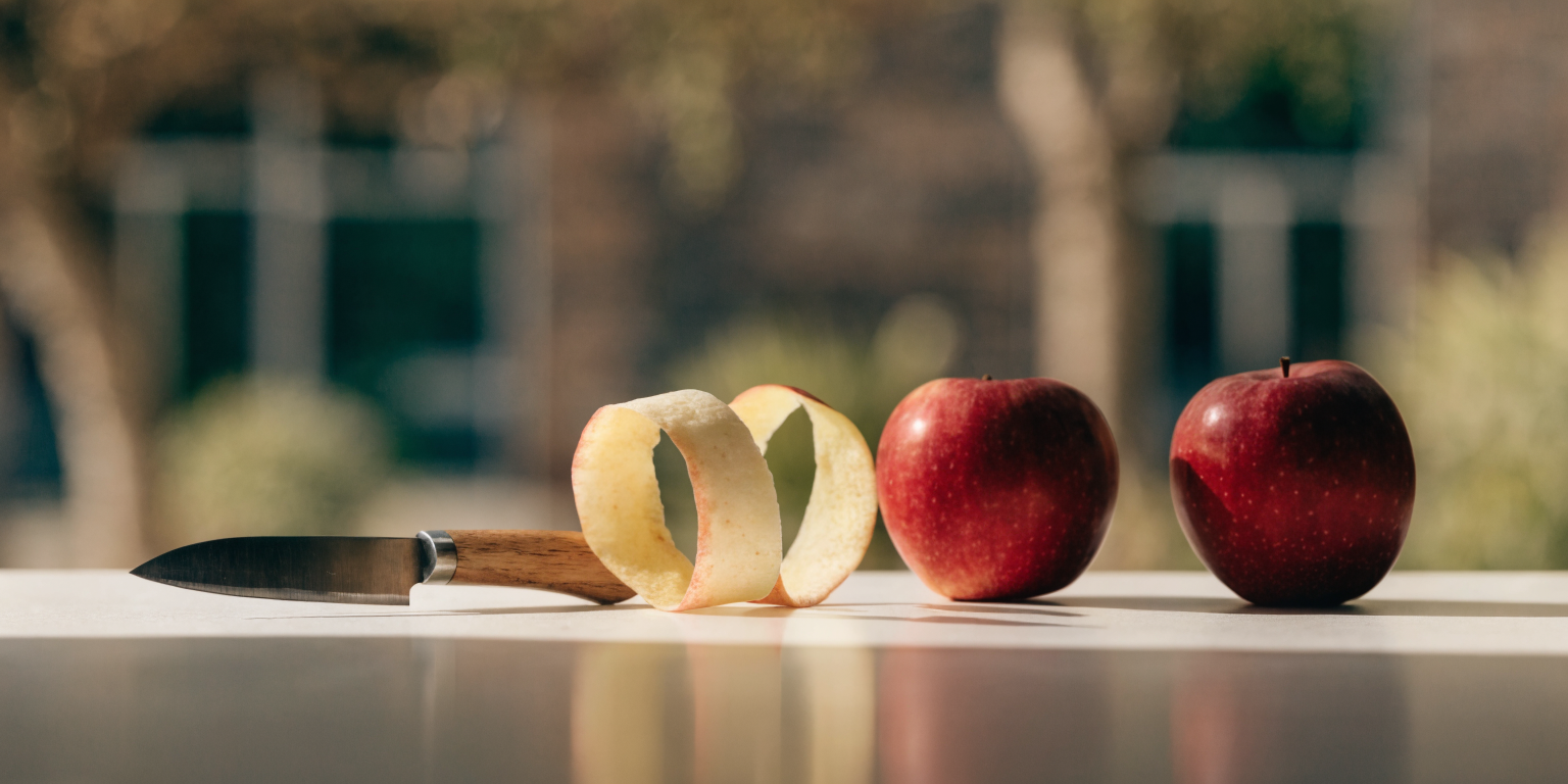 Bannerbild